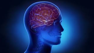 #Футаж правое полушарие человеческого мозга ◄4K•HD► #Footage the right hemisphere of the human brain