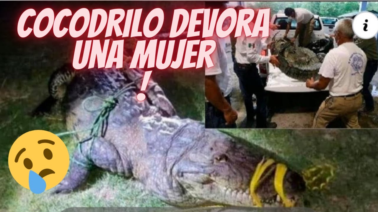 Cocodrilo se come a una mujer YouTube