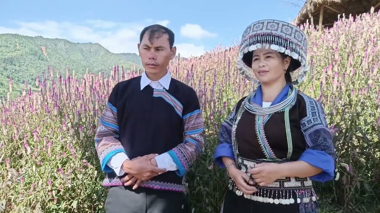 las hawj hab xub yaaj lus txaj rov tawm tshab kho sab kawg li 