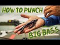 Learn to Punch Big Bass | Step by Step Punch Rig Tutorial with Chris Zaldain