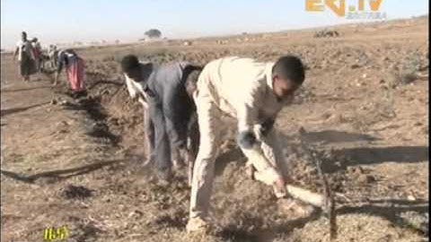 Eritrean Inhabitants of Adi Abeito undertaking water and soil conservation activities
