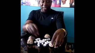 cowries as money in Nigeria