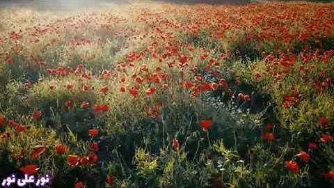 الدوكالي محمد العالم سورة النمل برواية قالون عن نافع