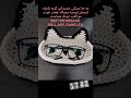جاعینکی عروسکی و رومیزی خوشگل که این گربه ملوس و مراقب عینک های شما ست تازه چقدر برای هدیه مناسبه mp3