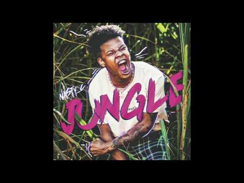 nasty-c---jungle-(lyrics)