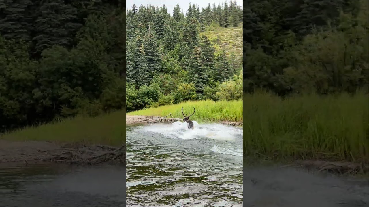 Running with the locals