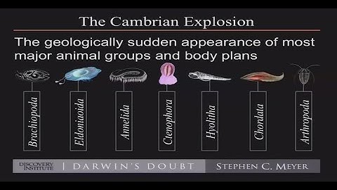 The Case For Intelligent Design - Dr.  Stephen C.  Meyer, PhD