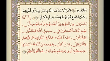 القران الكريم الشيخ على البراق سورة التوبة