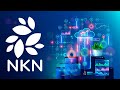 What is nkn   nkn blockchain explained nkn  nkntoken nkncoin