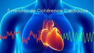 5 Minutes de Cohérence Cardiaque screenshot 3