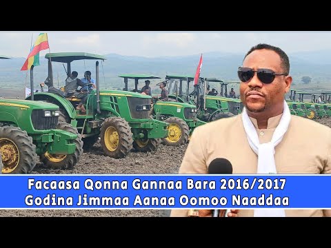 Godina Jimmaa Aanaa Oomoo Naaddaatti Facaasa Qonna Gannaa Bara 2016 2017