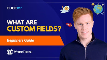 What are Custom Fields in WordPress