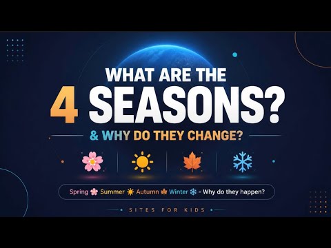 What Are the 4 Seasons & Why Do They Change? A Fun Guide for Kids