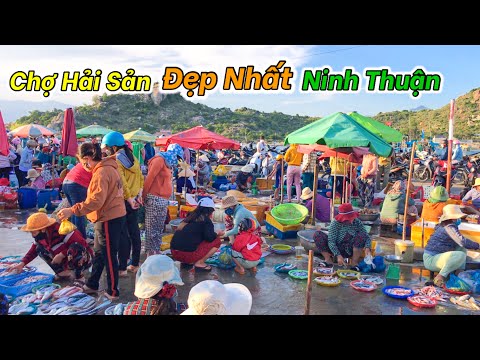 Chợ Nại Phan Rang - Chợ Nại Hải Sản Tươi Ngon Và Đẹp Như Tranh Vẽ | Chợ Đẹp Nhất Ninh Hải Ninh Thuận