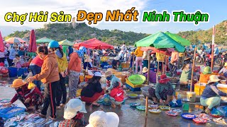 Chợ Nại Hải Sản Tươi Ngon Và Đẹp Như Tranh Vẽ | Chợ Đẹp Nhất Ninh Hải Ninh Thuận