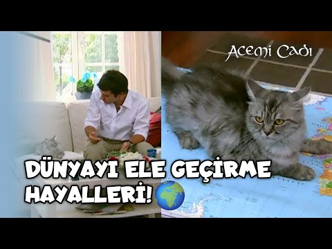 Duman'ın Dünya'yı Ele Geçirme Hayalleri! - Acemi Cadı 57.Bölüm