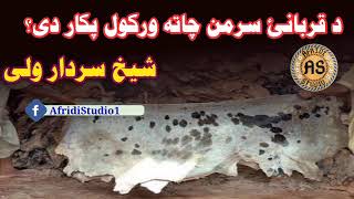 د قربانی سرمن چاتہ ورکول پکار یی | شیخ سردار ولی | Da qurbanay sarman chata warkol pakar ee |Sardar