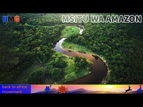 🔴Maajabu ya Msitu wa Amazon na Viumbe wake wa ajabu waliojaa Miujiza ya Kutisha