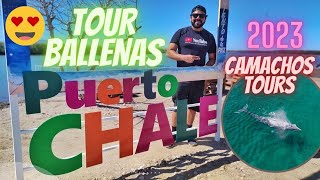 PUERTO CHALE  Temporada de BALLENA GRIS vive una Experiencia Increible en Baja California Sur  2023