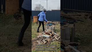 Заготовка дров.