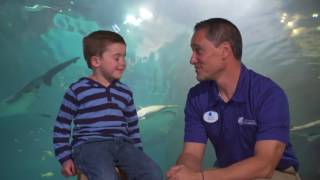 6ABC Ask the Experts - Outtakes