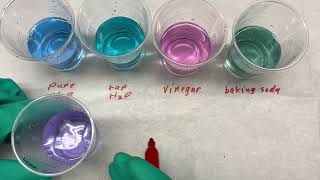 Butterfly pea flower tea as an acid base indicator