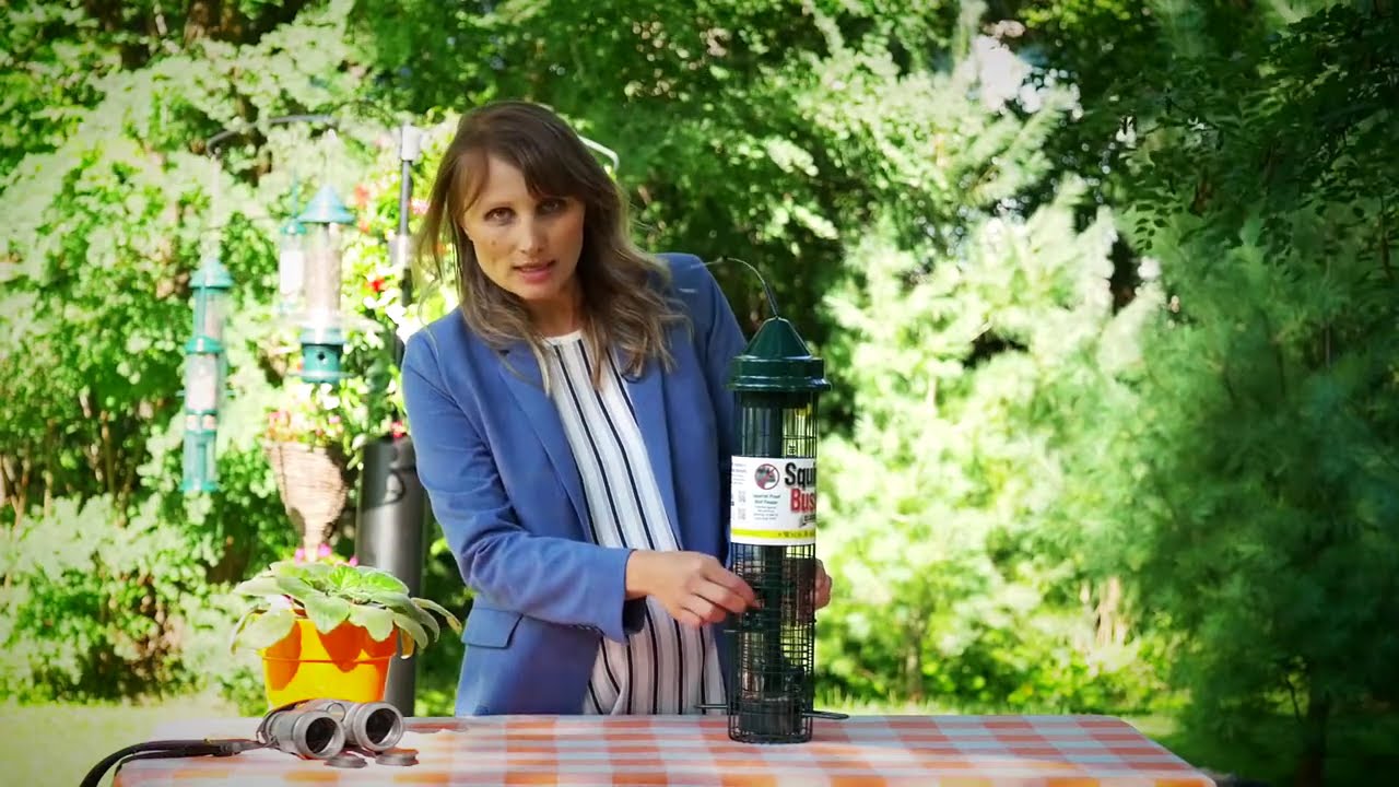 Squirrel Buster Classic Weak Spring YouTube