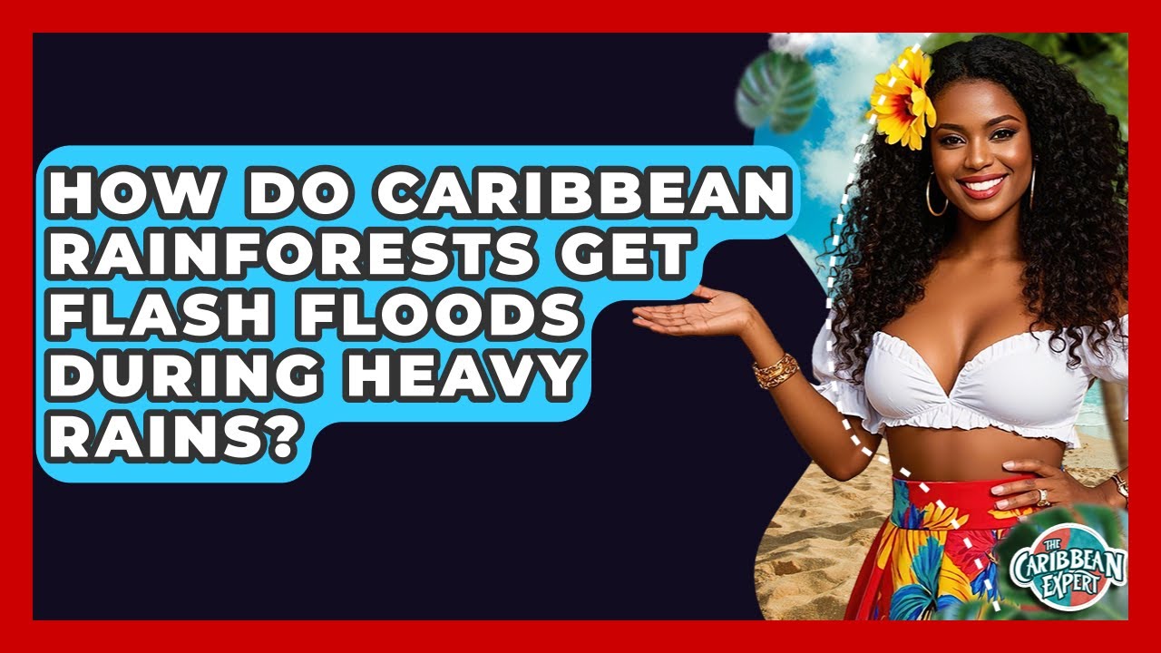How Do Caribbean Rainforests Get Flash Floods During Heavy Rains? - The Caribbean Expert
