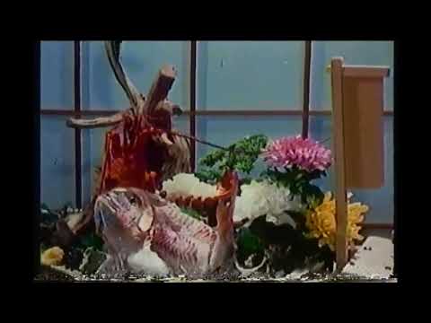 サンテレビCM　ホテルニューアワジ（BGM違いのバージョンも収録）