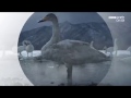 BBC Earth 2017 -  Feb highlights