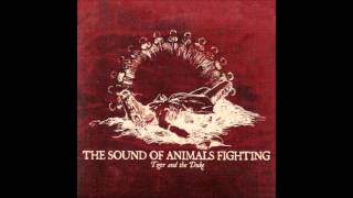 The Sound of Animals Fighting - Interlude 2