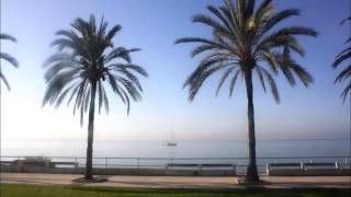 wombavoice - summertime sadness (original von lana del rey)