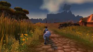 Taking a walk with a white fox for an entire hour | On BGM & Ambience | World of Warcraft