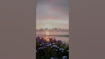 سورة الفلق كاملة | تلاوة عطرة ⭐ #القرآن_الكريم #المصحف #لايك