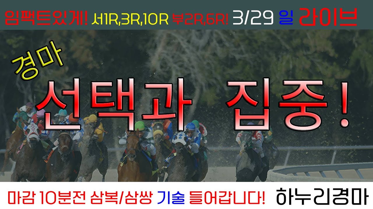 3/29(일) 경마 선택과 집중! 임팩트있는 승부 준비! 경주별 삼복/삼쌍 기술 들어갑니다!!