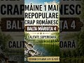 1 Mai o nouă Repopulare cu Crap Românesc pe Balta Mariuta 3 ! Abonati-va la canalul meu mulțumesc.