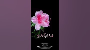صباح الخير🌺حالات واتساب مقاطع قصيره🌺قران كريم ياايهاالانسان ماغرك بربك الكريم🌺احمد النفيس بدون حقوق