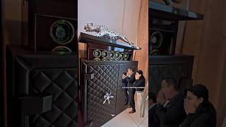Inside a $Multi-Million Watch Collection – 40 Luxury Timepieces in a Jaguar Safe