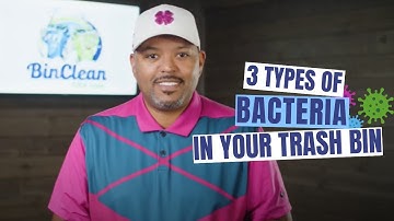 How Much Bacteria is in Your Trash Can?