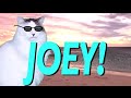 HAPPY BIRTHDAY JOEY! - EPIC CAT Happy Birthday Song