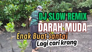 🎶 DJ Slow Remix Terbaik - DARAH MUDA- Beat Halus & Nyaman - Vlog Jadul