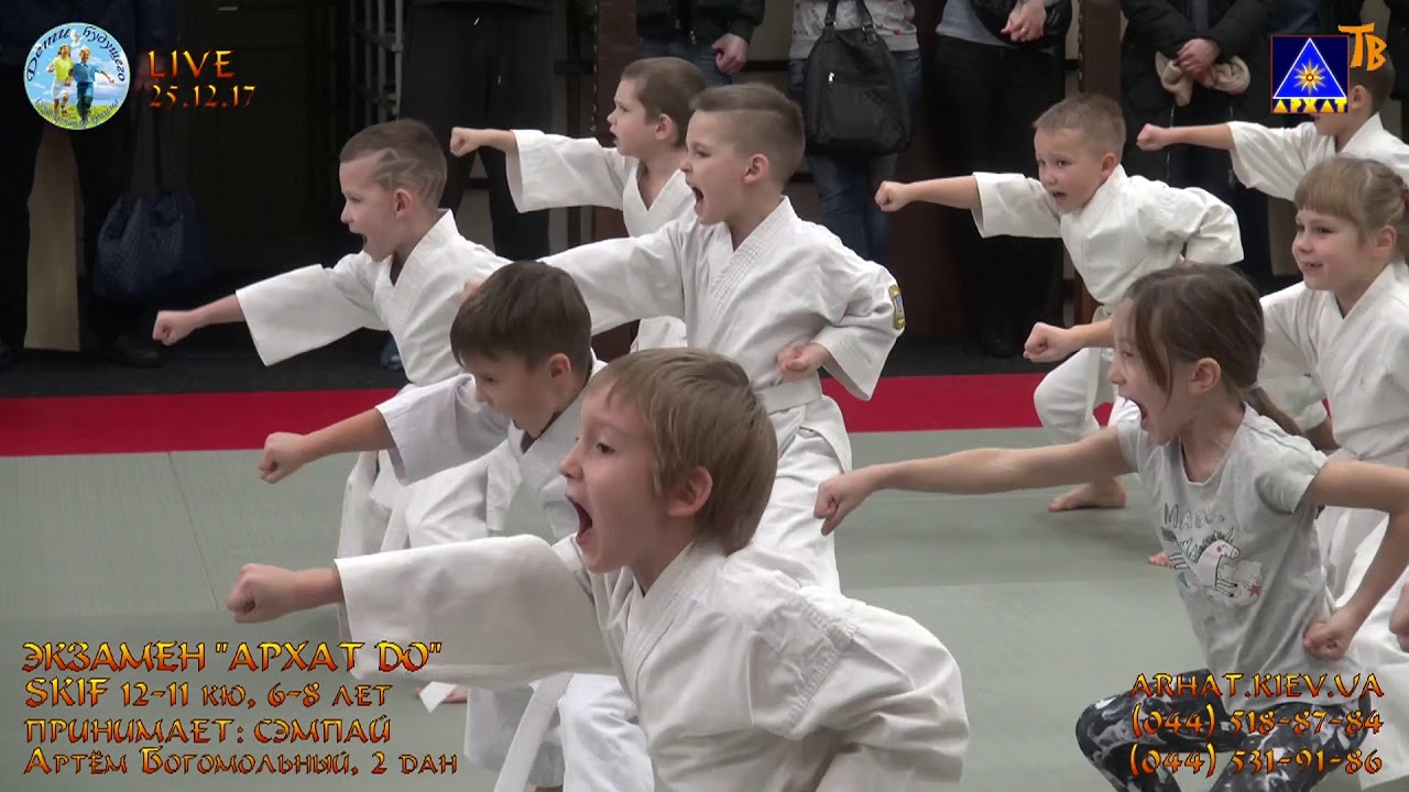 Экзамен. 1-я младшая А, SKIF 12-11 кю (25.12.2017)