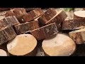 #127 Splitting Wood for Cordwood House Build using Super Split