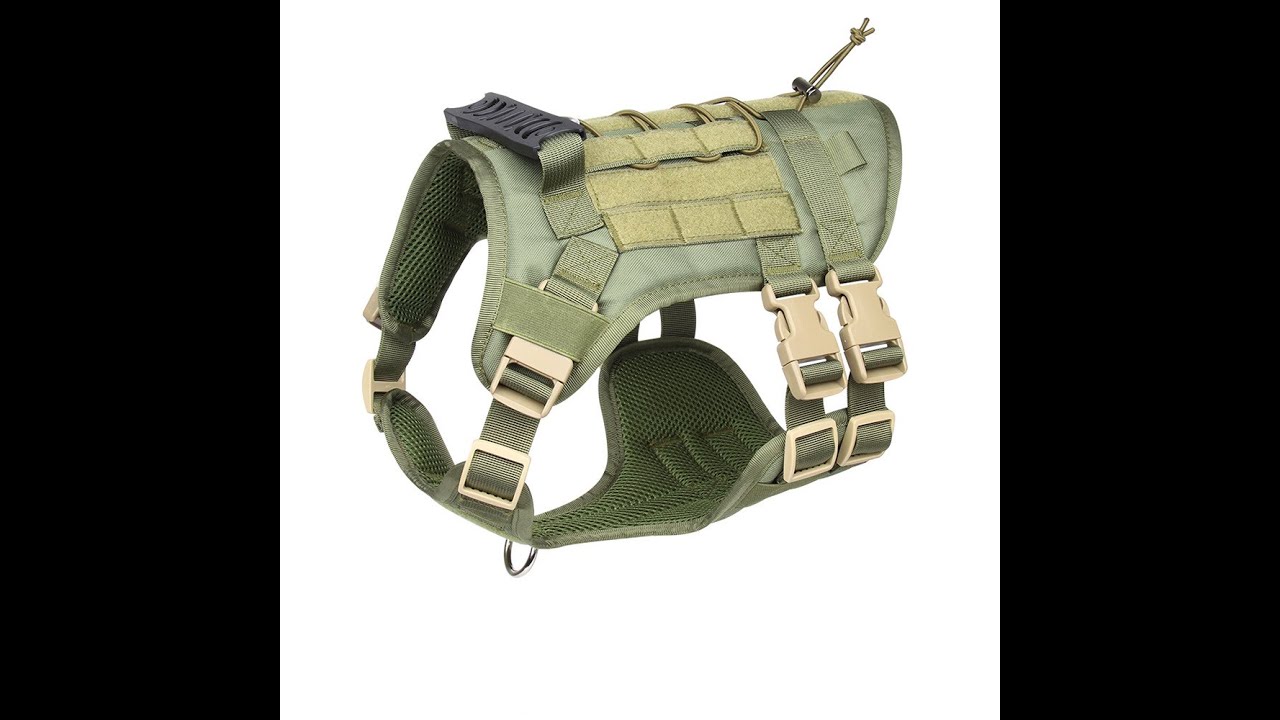 2022 New Best Dog Harness For Large Dogs YouTube
