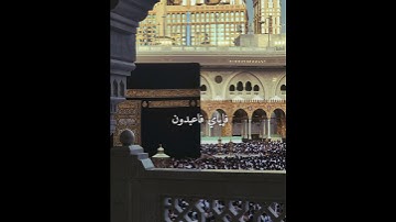 سورة العنكبوت/ عبد الرحمن مسعد #ارح_قلبك #أجر_لي_ولكم