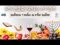 שלום עליכם כמו שלא שמעתם כמה בתים יש מי חיבר למה שרים ומה שכחו לספר לכם בפיוט הזה שלום עליכם כמו שלא שמעתם כמה בתים יש מי חיבר למה שרים ומה שכחו לספר לכם בפיוט הזה