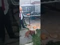Matthew mayhem in pumpkin smash...again