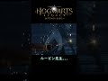 この隠し部屋知ってる?【小ネタ】【ホグワーツ・レガシー】#shorts