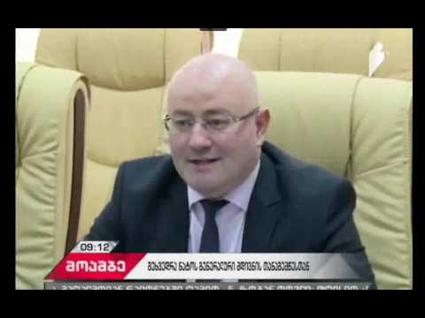 შეხვედრა ნატოს გენერალური მდივნის თანაშემწესთან - მოამბე 11.04.2017