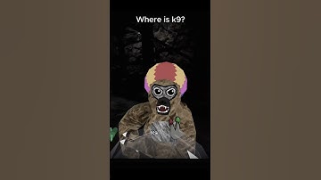 Where Is k9?#gorillatag #vr #gtag #funny #gorilla #k9 #whereisk9 #gorillatagvr #virtualreality #me